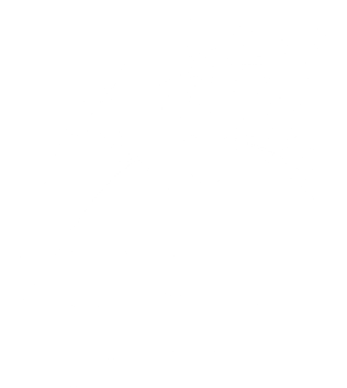 logo VOICES